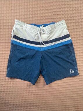 Gerry Weber Men’s Blue Stripe Swim Trunks Large